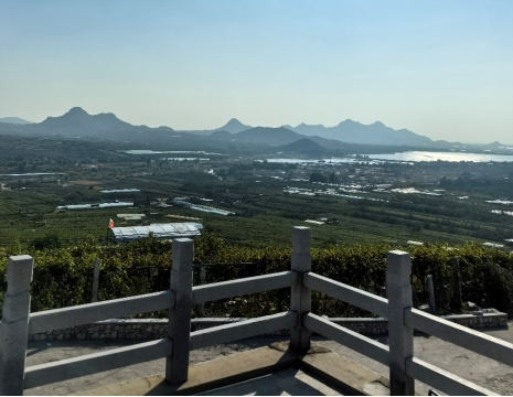 http://www.jzchati.cn平度大澤山葡萄園引進萊恩德土壤肥料檢測儀， 輕松掌握土壤營養
